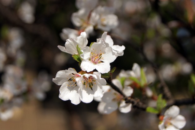 사본 -DSC04672640.jpg 사본 -DSC04672640.jpg